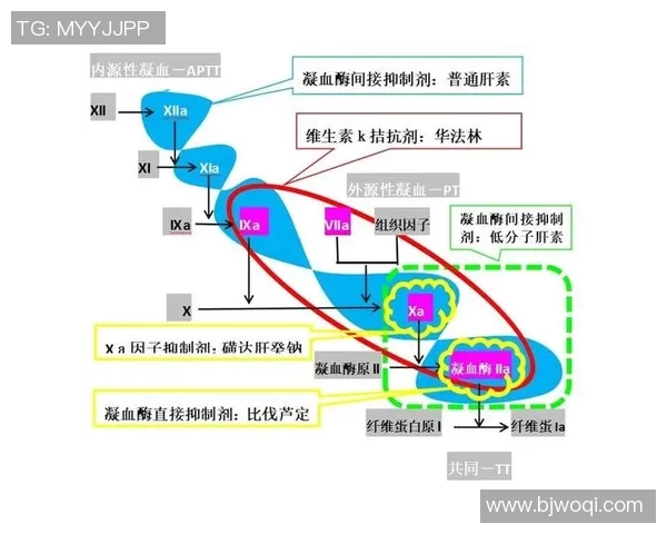杭州足球队阵地战分析及其成败经验总结 杭州足球队阵地战分析及其成败经验总结